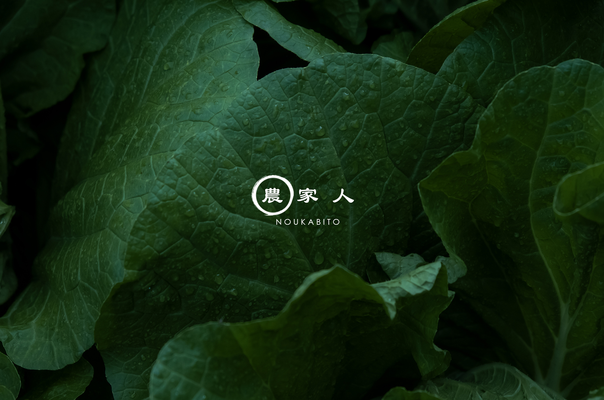 清水農場出荷所