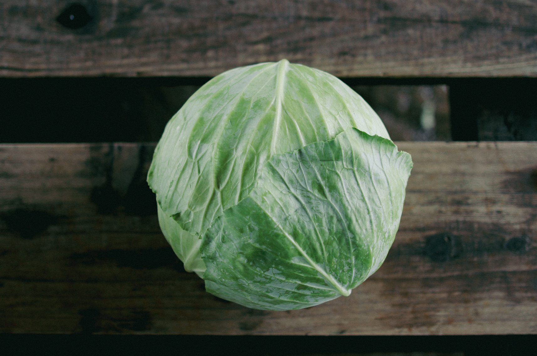 清水農場出荷所