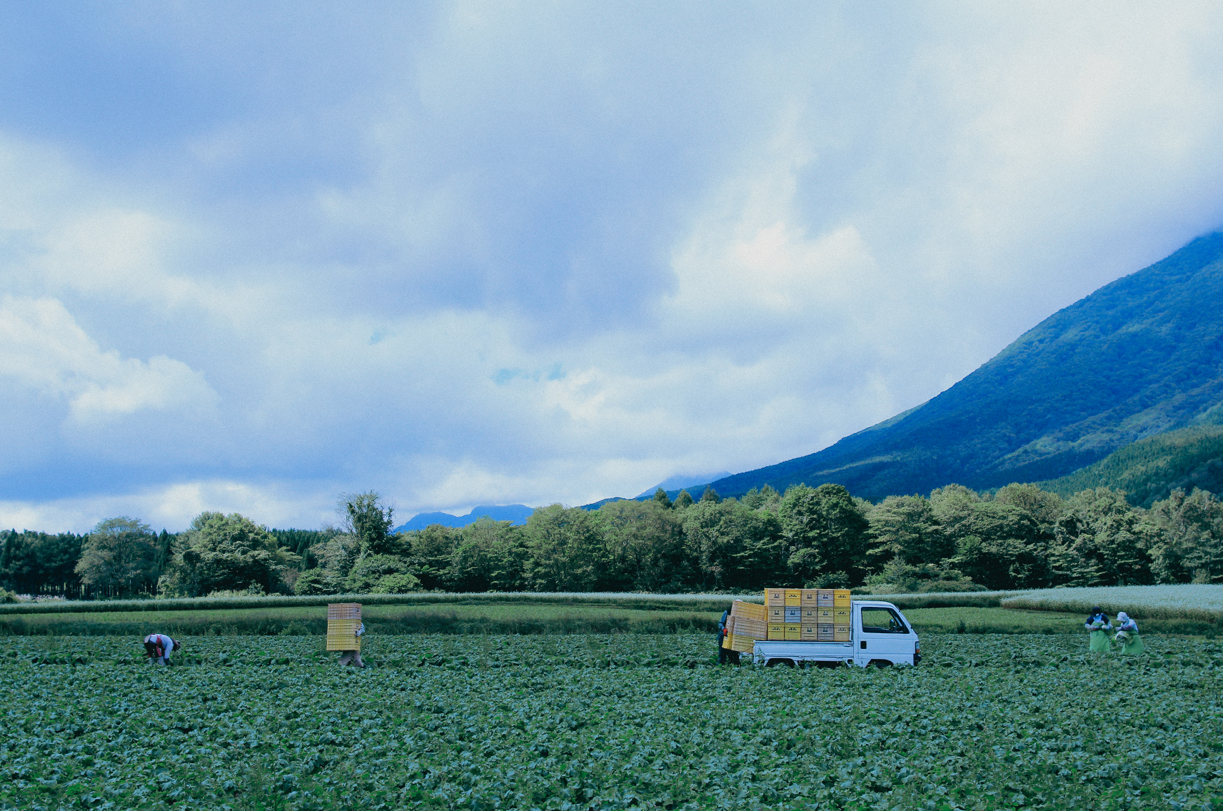 business premit 事業許可